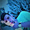 amir_keshavarz