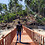 dineshkumar