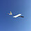 GabriGlider
