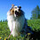 Lasse_Jarvela