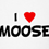 mohid_khan