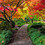 Vineeth_Vijayan