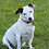 Willie_Mcphee